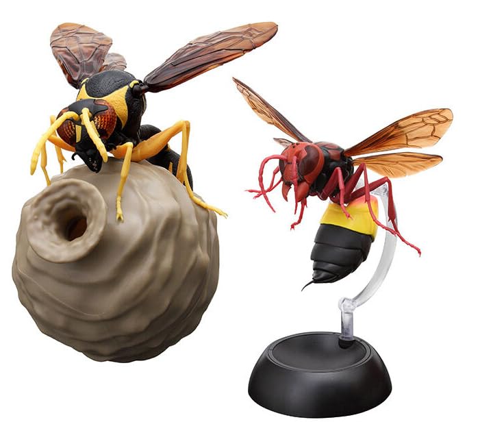 Amazon.co.jp: いきもの大図鑑 とっくりばち 2種セット ミカド